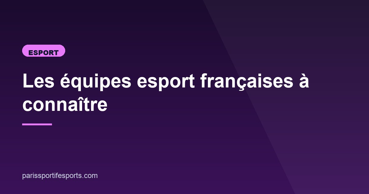 Illustration de l'article consacré aux équipes esport françaises